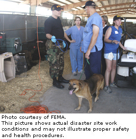 Photo courtesy of FEMA.  This picture shows actual disaster site work conditions and may not illustrate proper safety and health procedures.