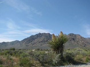 The View of the Kingston Mountains from Horse Theif Camp