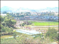 Photo: The village of Talatamaty and surrounding rice paddies 
