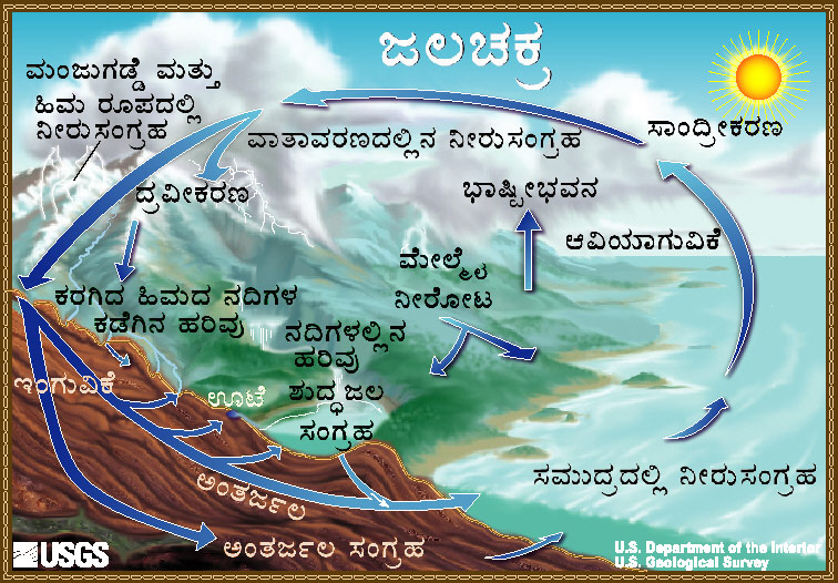 Diagram of the water cycle. 