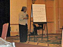 Nov 2007 CD-CEO-CNE Meeting, Erna making presentation