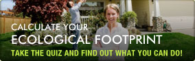 Calculate your ecological footprint and carbon footprint