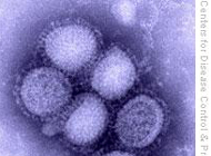 Вірус H1N1