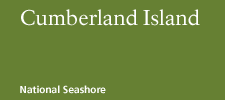 Cumberland Island National Seashore