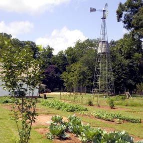 Garden and windmill