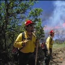 Wildland firefighters standing in front of a forest fire.