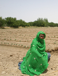 Bakhtawar, a grandmother from Loralai District, Balochistan, Pakistan, is proud of her first-ever vegetable seedlings.