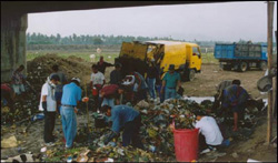 Photo: Toledo city officials characterize local garbage which is one step in a new environmental program.