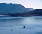 Boats on Blue Mesa Reservoir