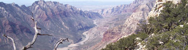 Overlooking Green River at bottom of canyon.