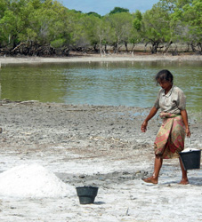 A woman at Laga Lake, East Timor helps her community produce salt. At the end of the day, half of the salt will go to the community’s traditional chief, and the other half is split up among workers.