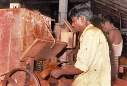 Coir workers in Sri Lanka using traditional machinery, which will be replaced with new technology and training aimed to make the industry more competitive worldwide.