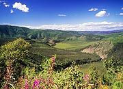 View of the Fortymile River valley