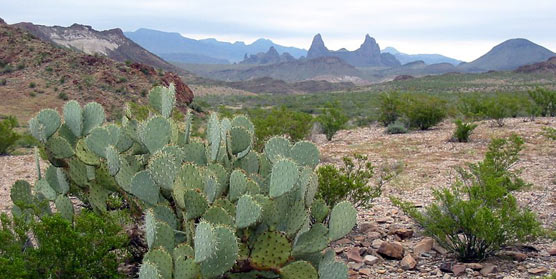 The Mule Ears Overlook provides an excellent view of the Chihuahuan Desert landscape