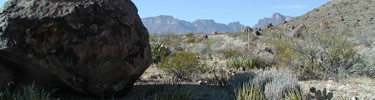 Desert scene along the Glenn Springs Road