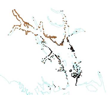 Map showing brown and black bear distribution in Glacier Bay