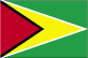 Flag of Guyana is green, with a red isosceles triangle (based on the hoist side) superimposed on a long, yellow arrowhead; there is a narrow, black border between the red and yellow, and a narrow, white border between the yellow and the green.