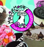 Super Premium Ice Cream Store Franchise / MaggieMoo's