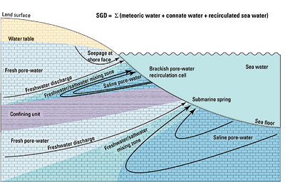 illustration showing an idealized submarine groundwater discharge-influenced freshwater/saltwater interface