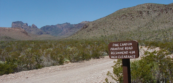 The beginning of the Pine Canyon Road