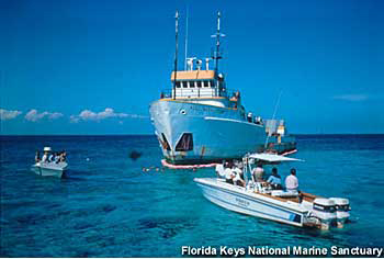 Grounding of M/V Alec Owen Maitland, Florida Keys National Marine Sanctuary.