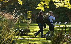 Students walking through the W.J. Beal Botanical Garden