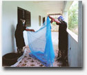 Malaria Prevention with Mosquito Nets