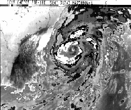 TROPICAL PREDICTION CENTER/OPAL95 PRELIM