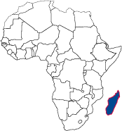 Map of Africa highlighting country location.