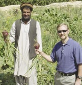 A researcher with a local farmer in an onion field.