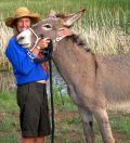 "Amigos" Arlo with adopter Maryanne Griffin.