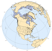 Beluga Whale range map