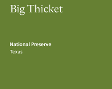 Big Thicket National Preserve