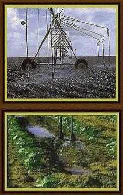 Irrigation water use: Low energy spray irrigation