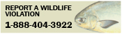 Wildlife Alert Information