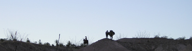Desert riders in silhouette