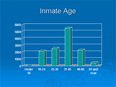 Link - to powerpoint presentation: Incarcerated Parents and their Elementary School-Age Children 