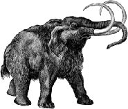 mammoth image