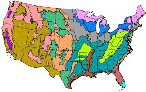 U.S. Graphic of Draft Aggregations of Level III Ecoregions for the National Nutrient Strategy