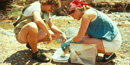 Researchers collecting samples near a stream