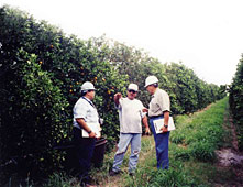 Safety and health officers talk with Hispanic field walker