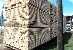 Stable lumber pile