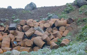 Many rusted 55-gallon drums cover a grassy hillside