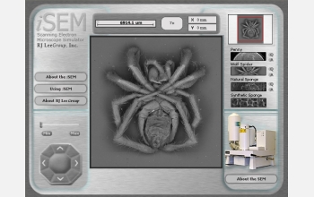 Test drive the iSEM simulator at http://www.nsf.gov/news/newsmedia/SEM/SEMviewer_NSF.swf