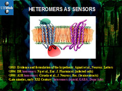 Link - to powerpoint presentation: Basic Concepts in G-Protein-Coupled Receptors Homodimerization and Heterodimerization