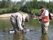 Bill Carter clips a sheefish fin while Frank Berry, Jr. records data, upper Selawik River, August 2005.  Photo by Susan Georgette.