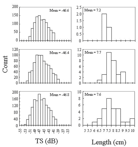 Estimates of smolt size from acoustics