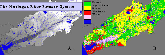 Muskegon River Estuary System