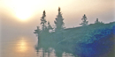 The morning sun burns through fog on the shoreline of Isle Royale.