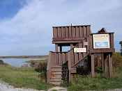 Steven F. Kahl/USFWS; 10/12/2008; Grefe Tower is Shiawassee Refuge’s “Big Sit” location.